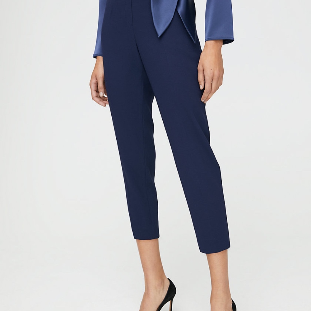 Aritzia BABATON Conan pants